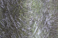 Lelant fibreglass roof work